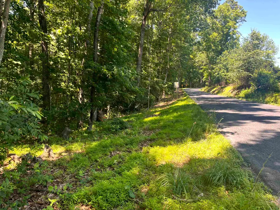 TBD Spottswood Rd, Steeles Tavern, VA 24476 - #2