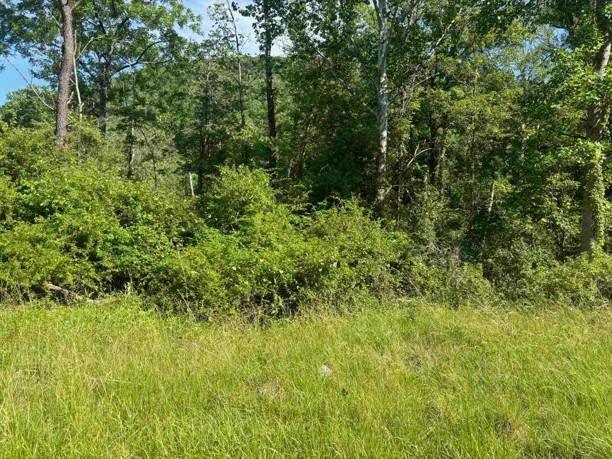 TBD 1.99 Acres Parkersburg Tpke, Swoope, VA 24479 - #1