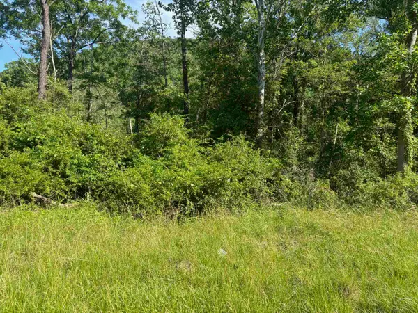 TBD 1.99 Acres Parkersburg Tpke, Swoope, VA 24479