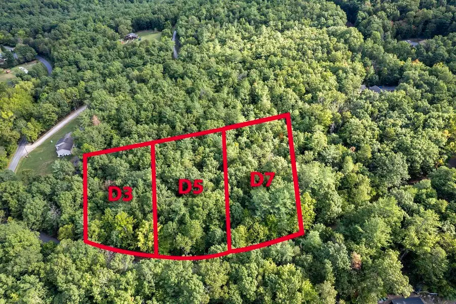 Lot D3 Holiday Hill Rd, Luray, VA 22835 - #2