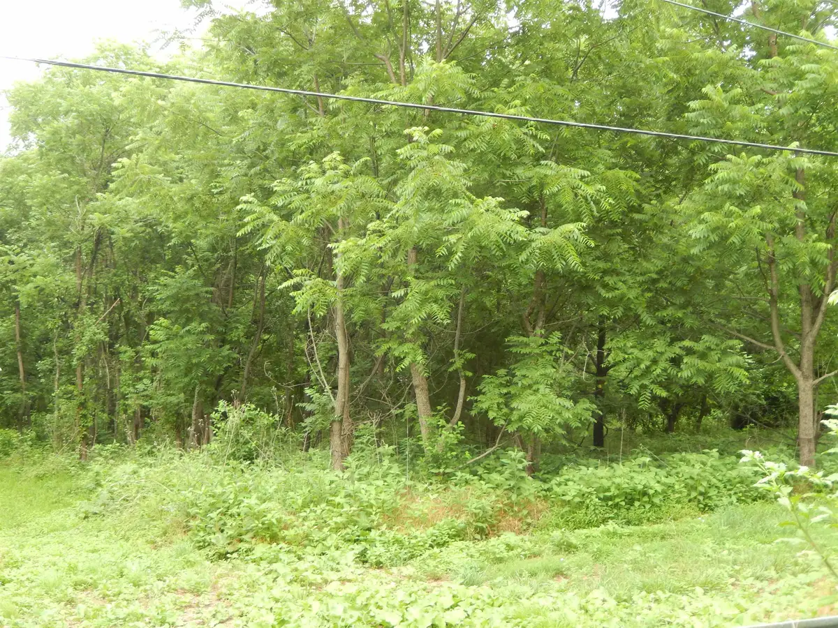 898 Sandy Bottom Rd, Elkton, VA 22827 - #1