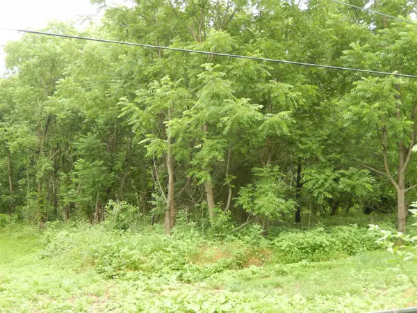 898 Sandy Bottom Rd, Elkton, VA 22827