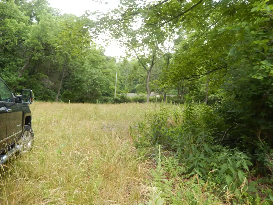 43 Cody Ln, Mount Solon, VA 22843 - #2