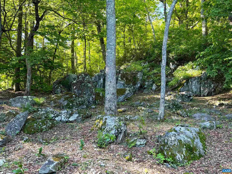 20 Buckhorn Ln, Wintergreen Resort, VA 22967 - #3