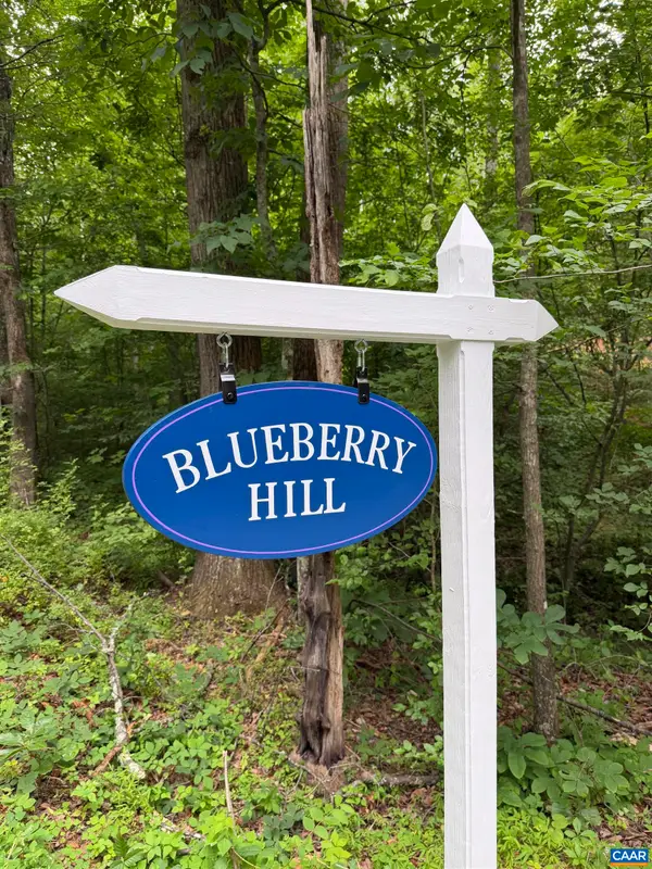 TBD Green Creek Rd, Schuyler, VA 22969