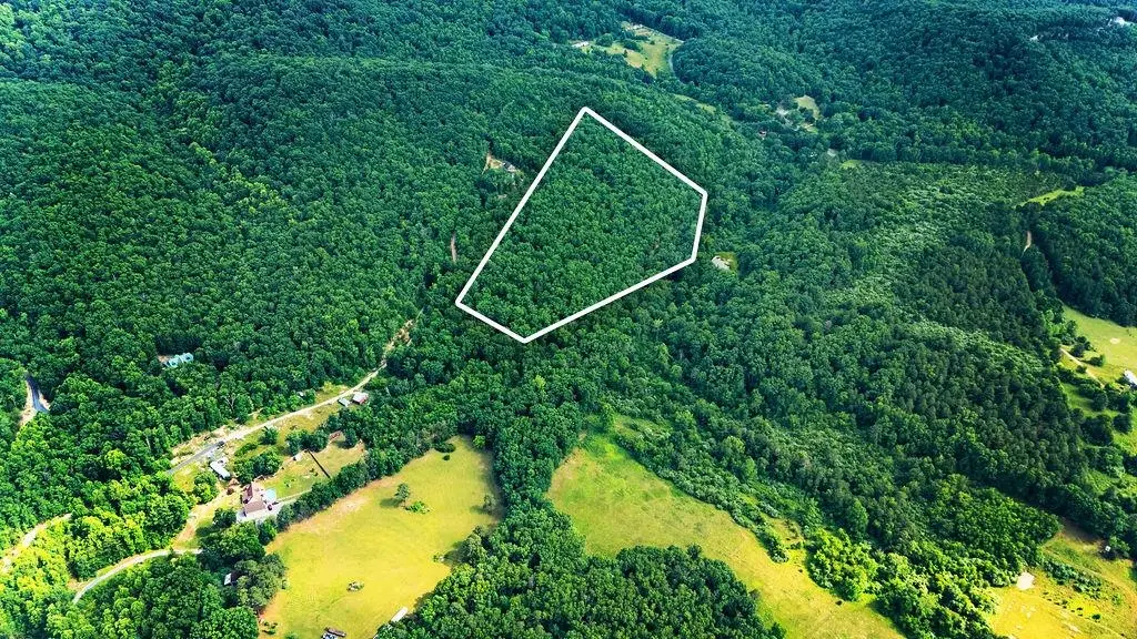 TBD Calf Mountain Rd, Waynesboro, VA 22980 - #1