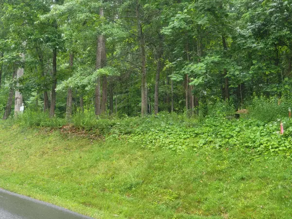 Lot 50 Donald Ross Trl, Hot Springs, VA 24445