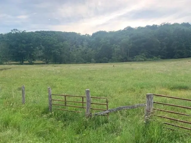 TBD 2 Jackson River Rd, Monterey, VA 24465 - #2