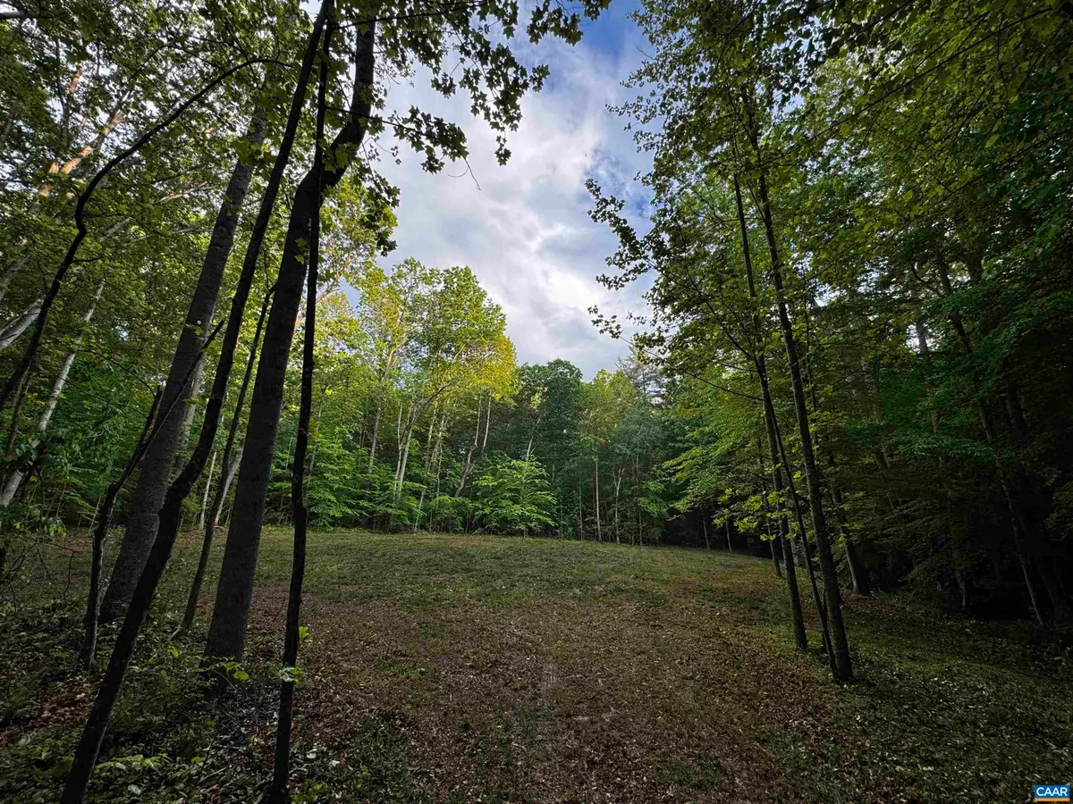 0 Fredericksburg Rd, Ruckersville, VA 22968 - #1