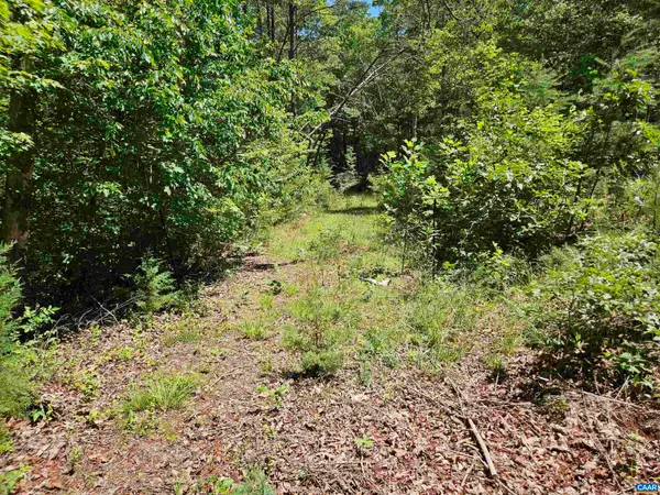 Manteo Rd, Buckingham, VA 23921