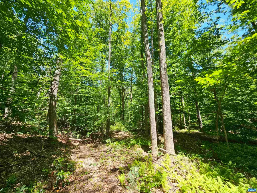 Manteo Rd, Buckingham, VA 23921 - #3