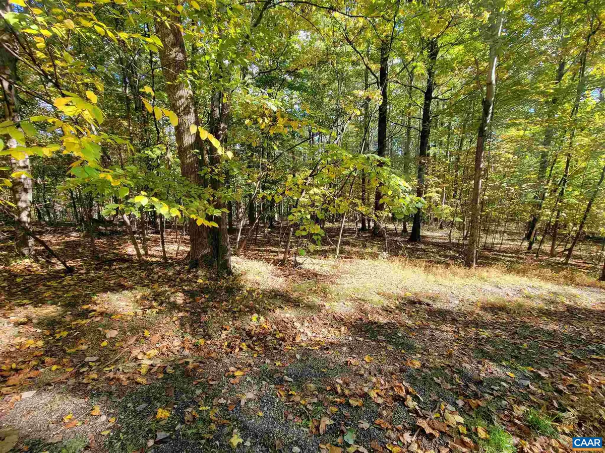 41 Hickory Spring Rd, Wintergreen Resort, VA 22967 - #1
