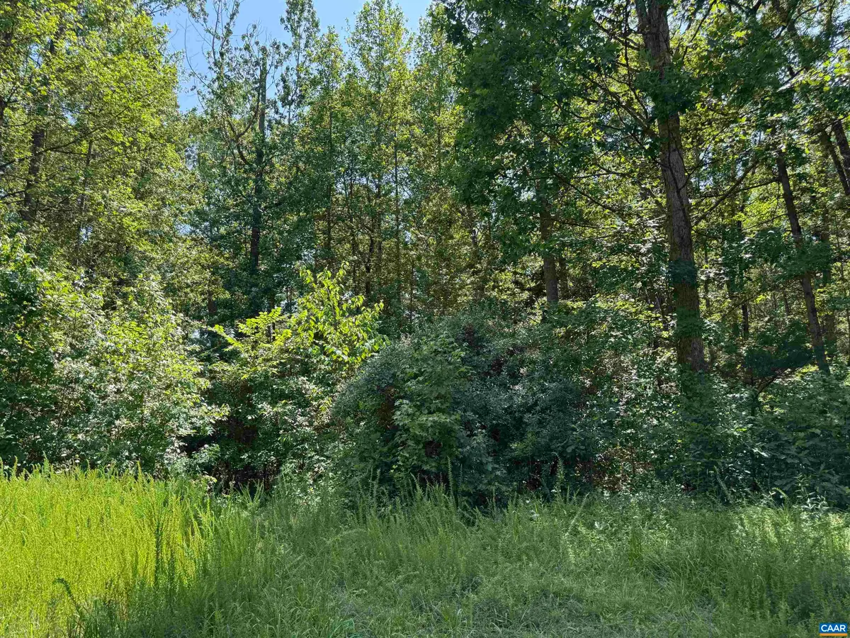 0 Bambi Ct, Beaverdam, VA 23015 - #1