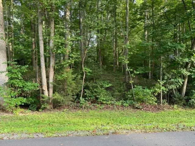 TBD Ellis Dr, Louisa, VA 23093 - #1