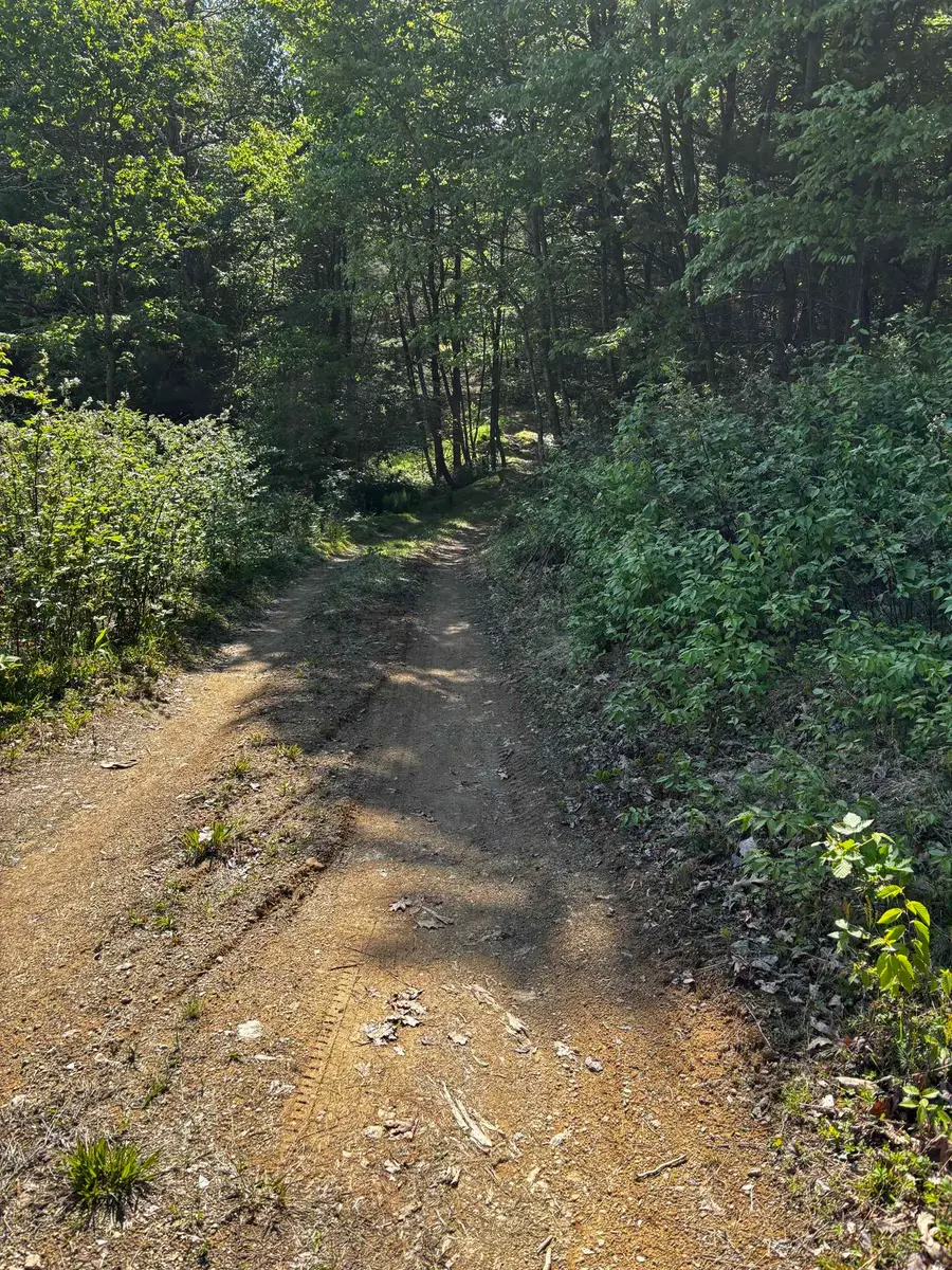 TBD Crabtree Falls Hwy, Vesuvius, VA 24483 - #2
