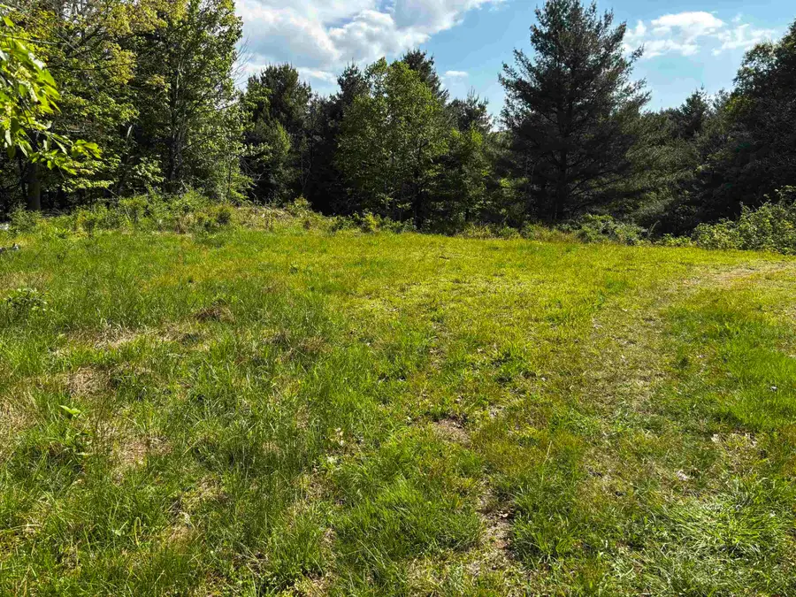 TBD Crabtree Falls Hwy, Vesuvius, VA 24483 - #3