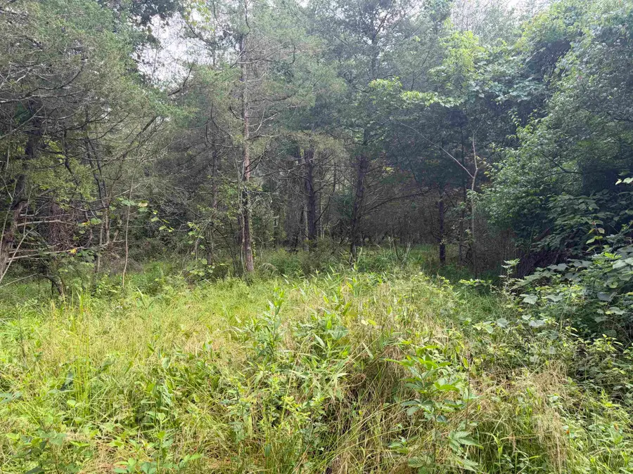 11289 Cowpasture River Hwy, Millboro, VA 24460 - #2