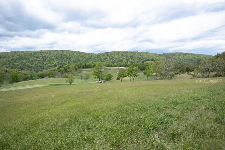 Lot 5 Golf Club Rd, Franklin, WV 26807 - #2
