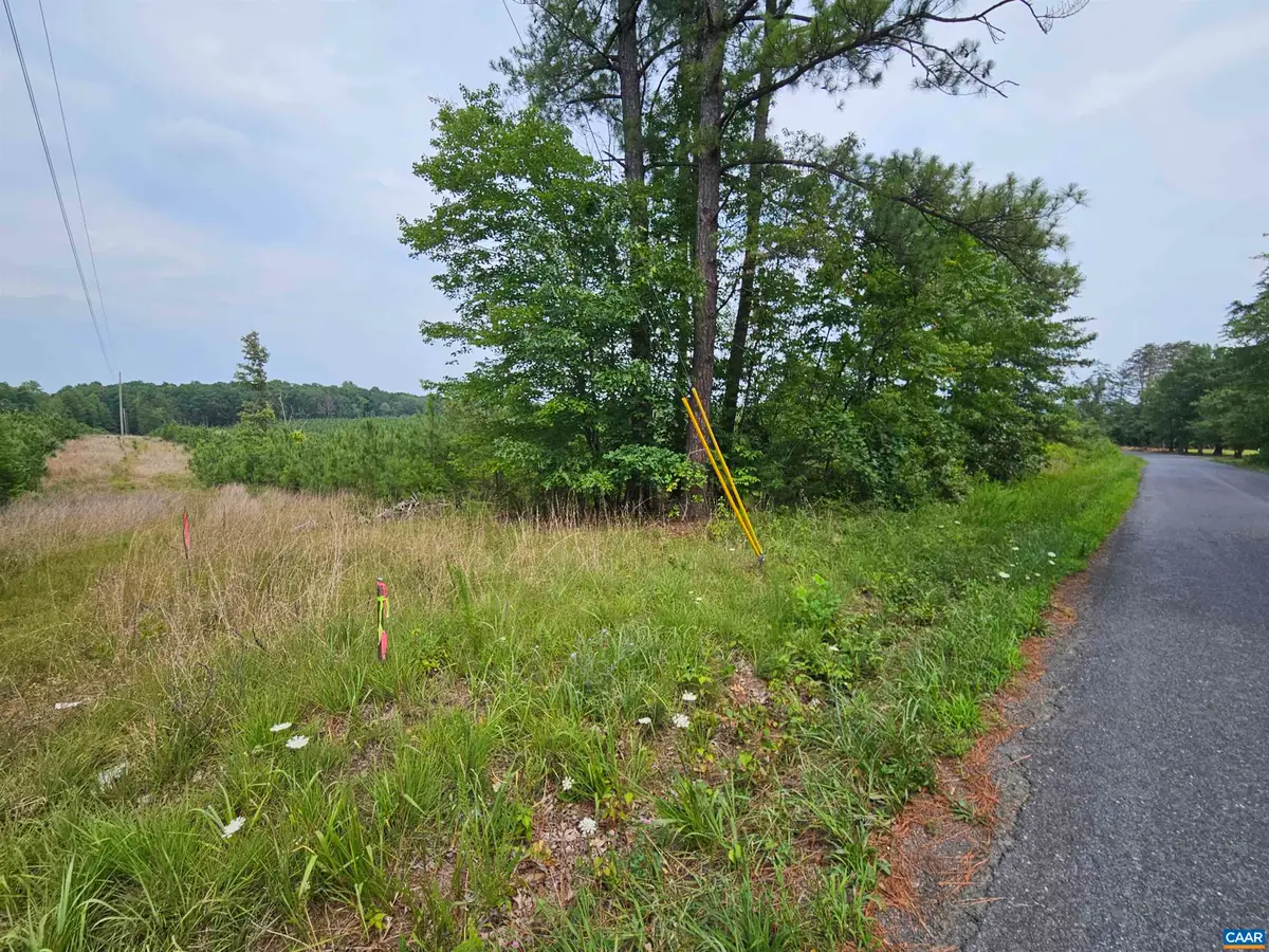 4 Ac Penlan Rd, Arvonia, VA 23004 - #1