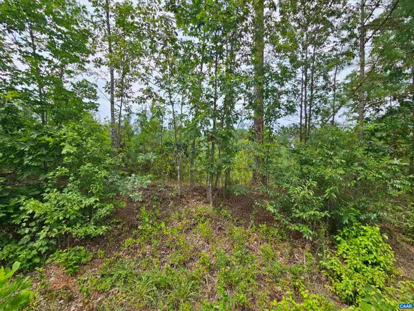2.78 Ac Penlan Rd, Arvonia, VA 23004