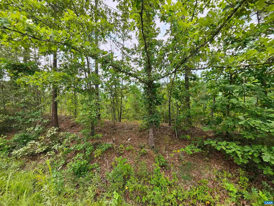 2.78 Ac Penlan Rd, Arvonia, VA 23004 - #3