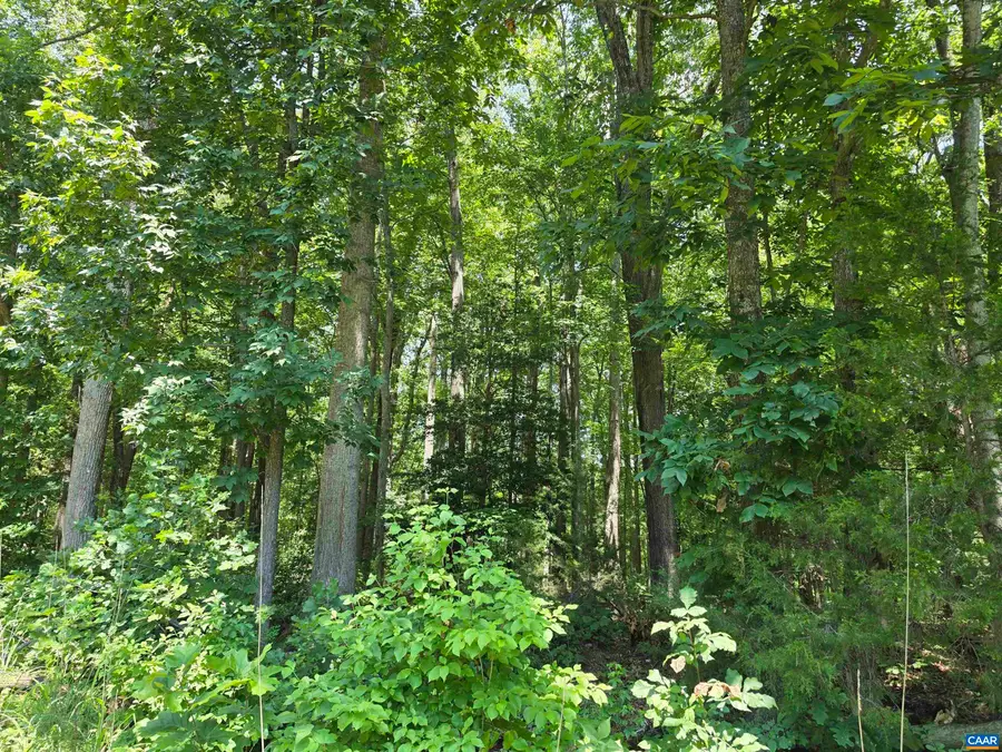 Stage Junction Rd, Columbia, VA 23038 - #2