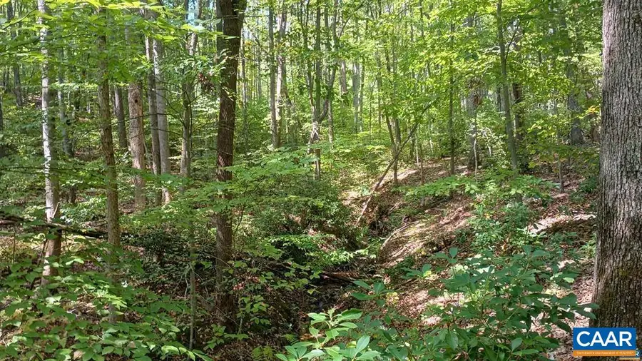 22 Piney Mountain Ln, Shipman, VA 22971 - #3
