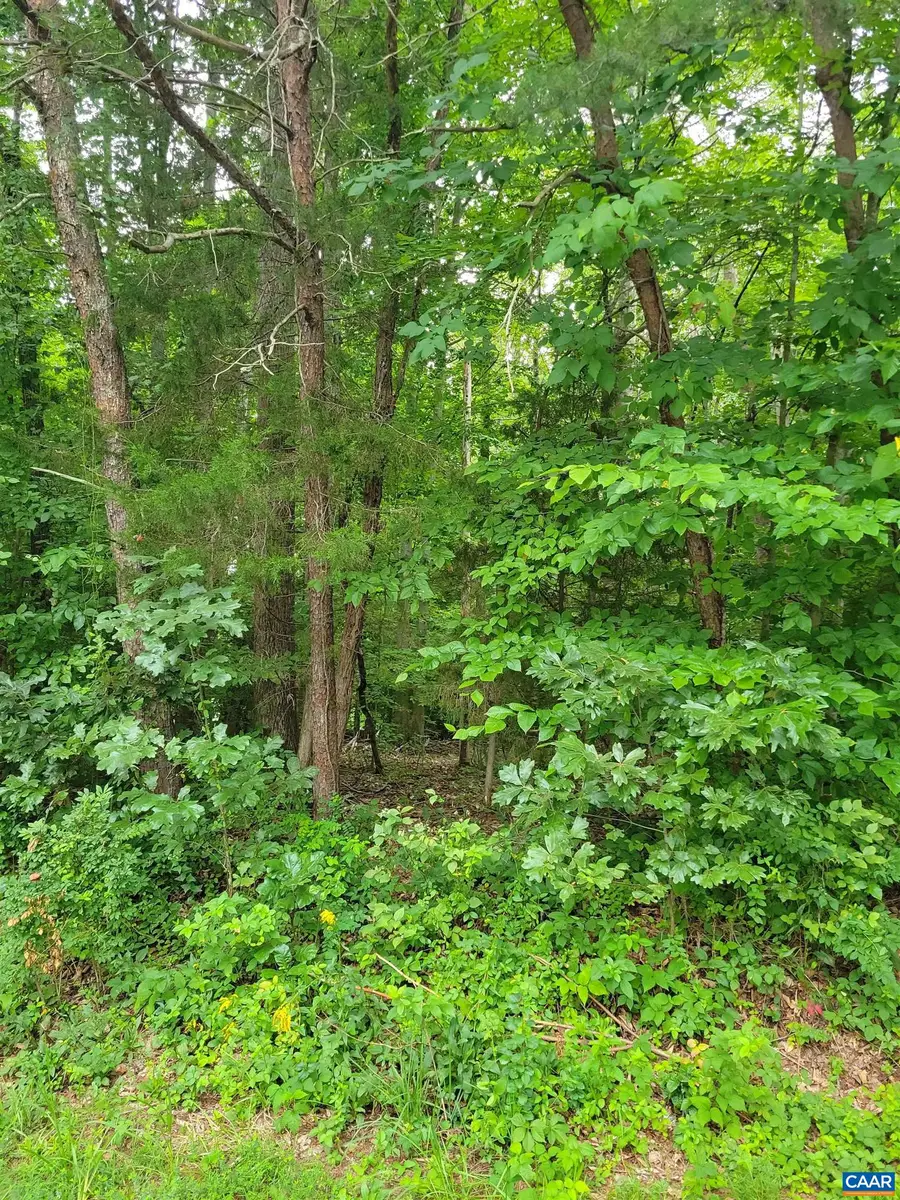 0 Jennings Dr, Palmyra, VA 22963 - #2