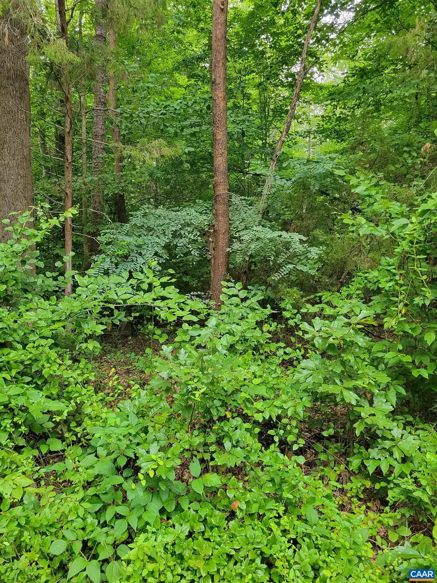 0 Jennings Dr, Palmyra, VA 22963 - #3