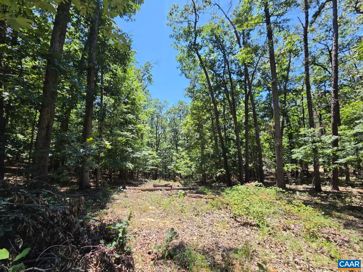 734 Cold Springs Dr, Shenandoah, VA 22849 - #1