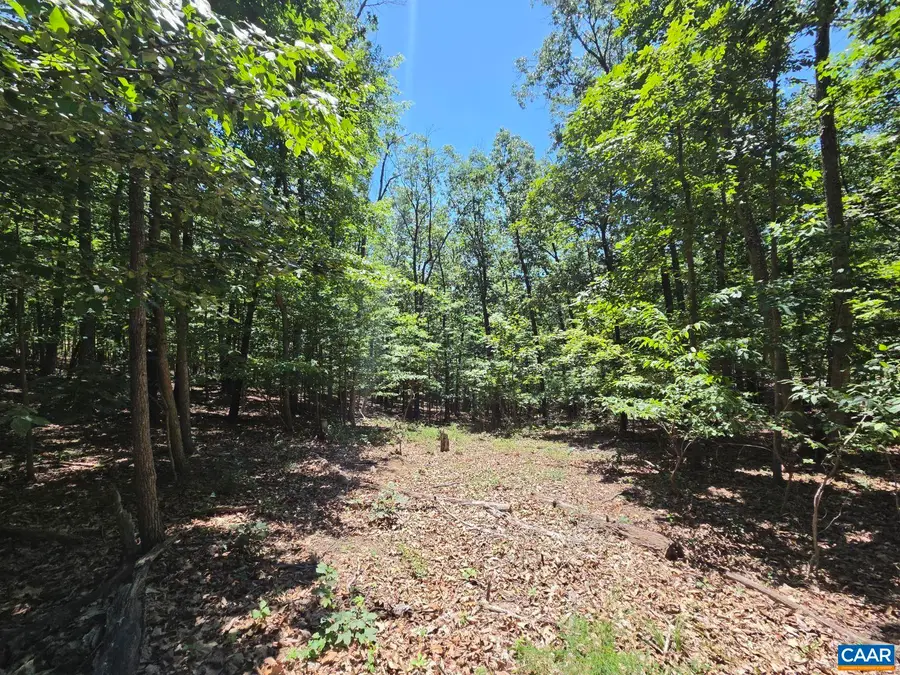 734 Cold Springs Dr, Shenandoah, VA 22849 - #2