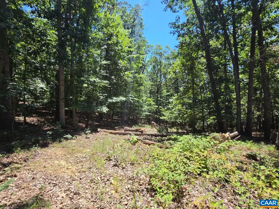 734 Cold Springs Dr, Shenandoah, VA 22849 - #3