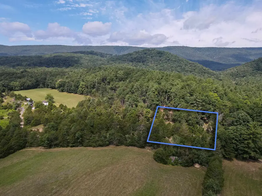 0 Alum Springs Rd, Basye, VA 22810 - #2