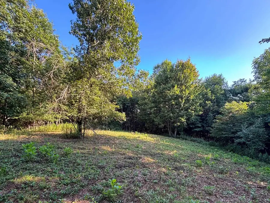 TBD Broadhead School Rd, Middlebrook, VA 24459 - #2
