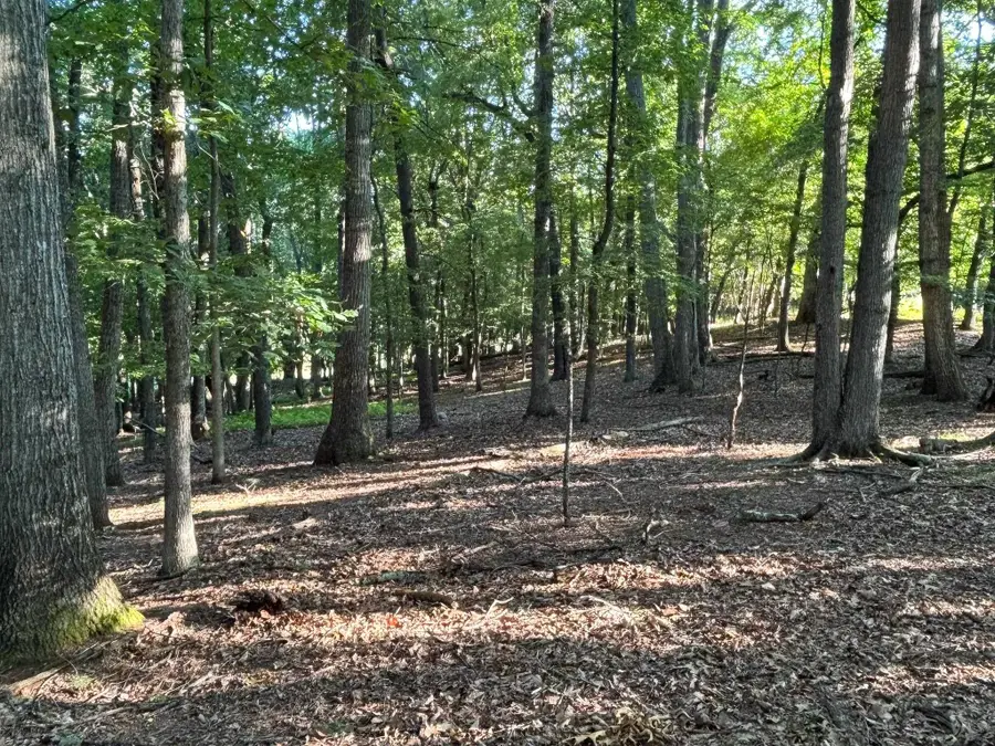 TBD Broadhead School Rd, Middlebrook, VA 24459 - #3