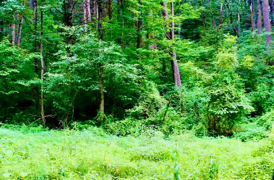 TBD Shell Hollow Ln, Dayton, VA 22821 - #2