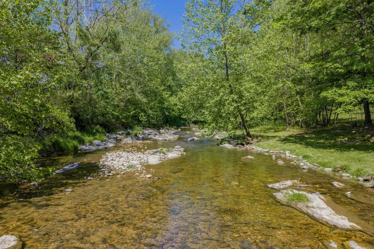 53 & 13 Siding Ln, Vesuvius, VA 24483 - #1