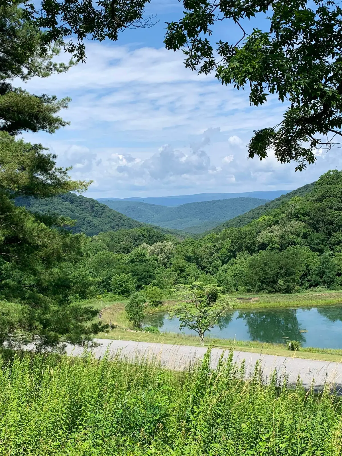 68 Sheep Meadow Rd, Hot Springs, VA 24445 - #1