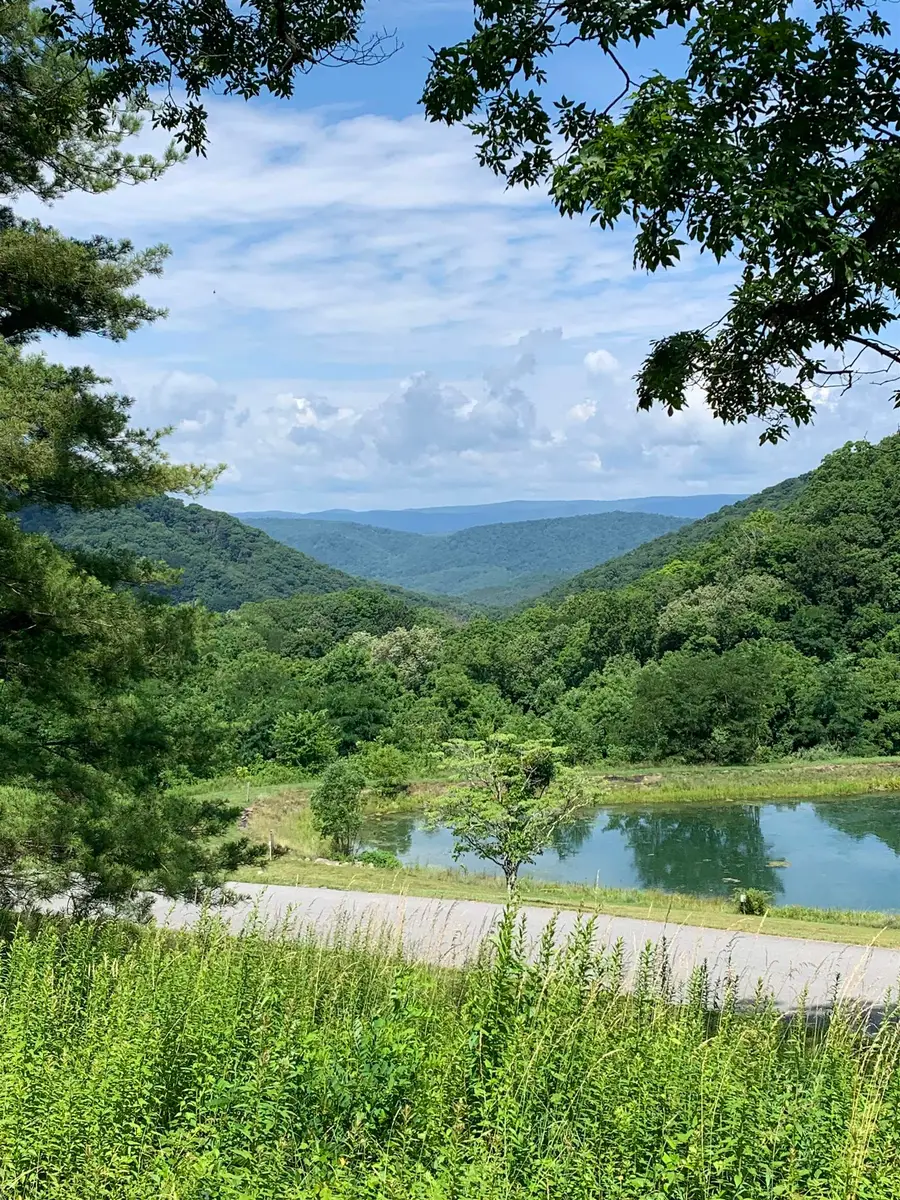 68 Sheep Meadow Rd, Hot Springs, VA 24445 - #3