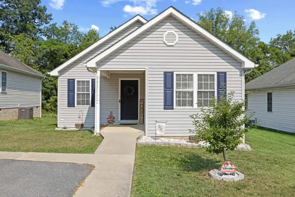 523 D St, Staunton, VA 24401
