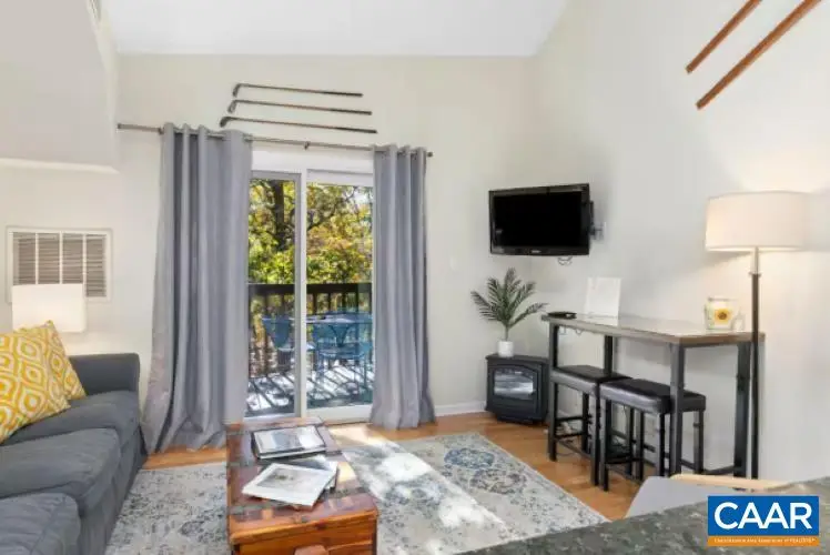 224 Timbers Condos, Wintergreen, VA 22967 - #3