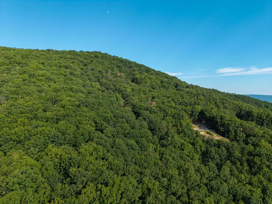 0 Roundhead Mountain Rd, Stanley, VA 22851 - #3
