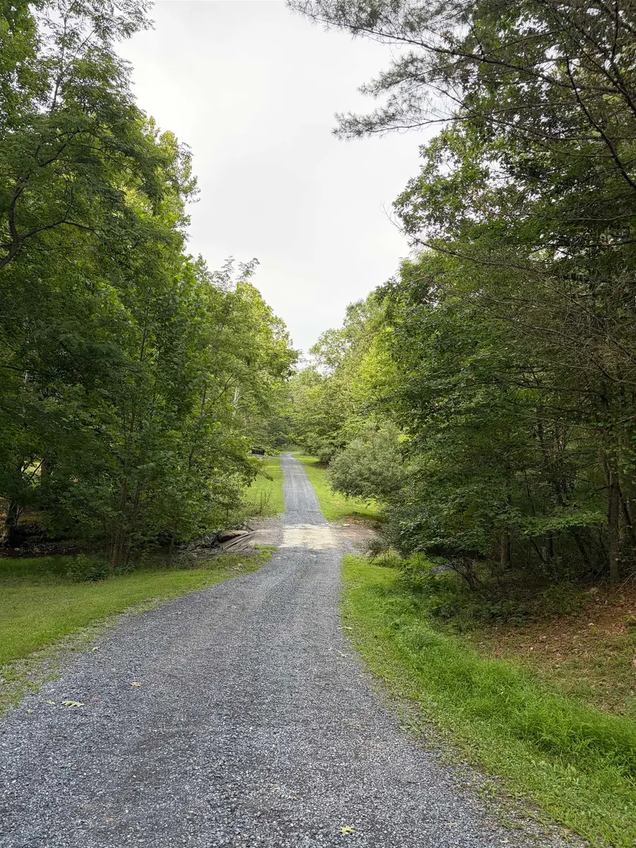 Lot 16 Bolshers Run, Millboro, VA 24460 - #2