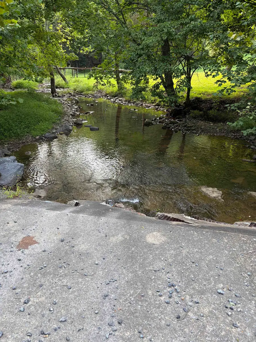 Lot 16 Bolshers Run, Millboro, VA 24460 - #3
