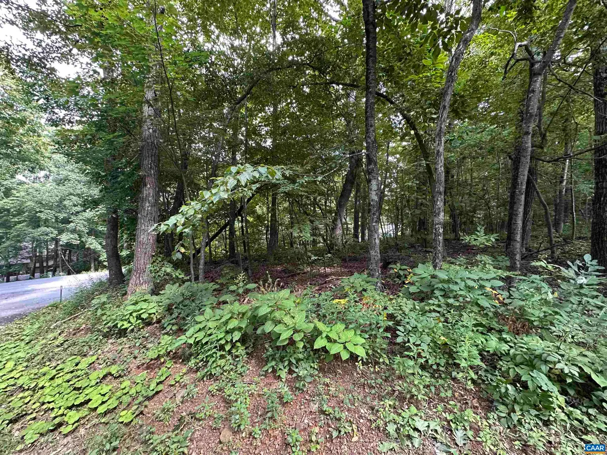 11 Fairway Oaks Ln, Wintergreen Resort, VA 22967 - #1