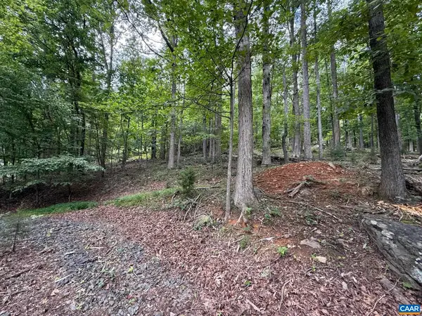 1283 Rodes Valley Dr, Nellysford, VA 22958