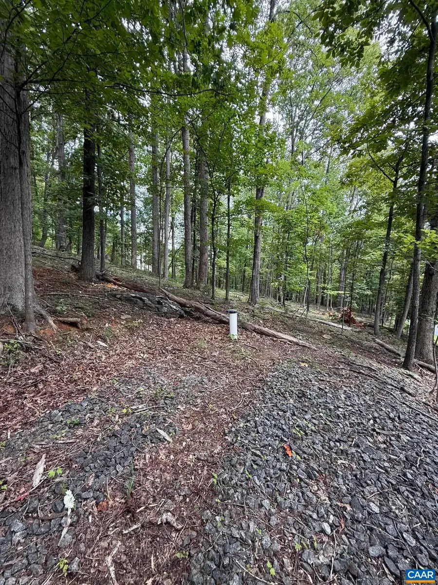 1283 Rodes Valley Dr, Nellysford, VA 22958 - #2