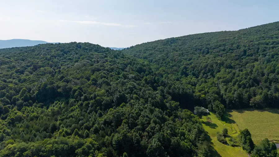 132 Still House Ln, Deerfield, VA 24432 - #3