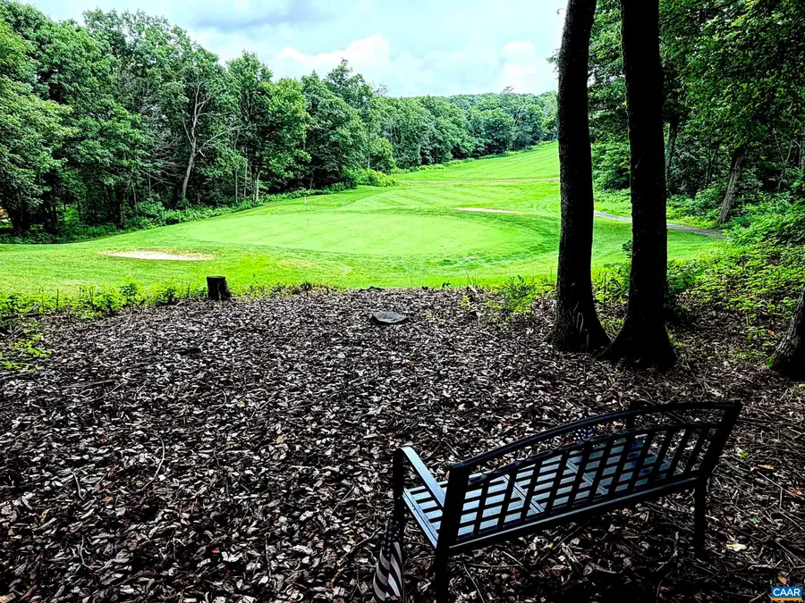 76 Laurel Springs Dr, Wintergreen Resort, VA 22967 - #3
