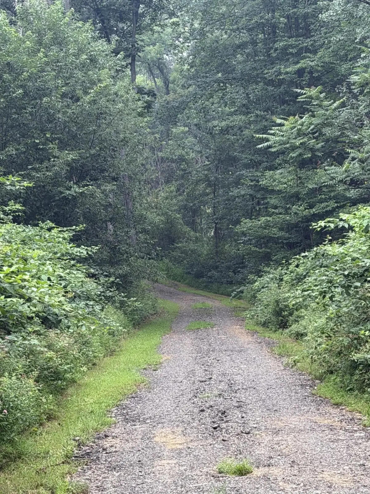 0 Mt Paran Church Rd, Elkton, VA 22827 - #1